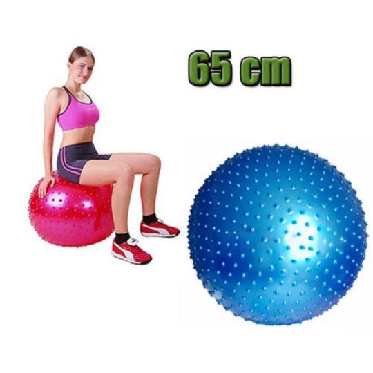 Gym Fitness Ball