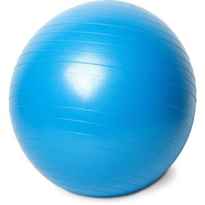 Gym Fitness Ball 